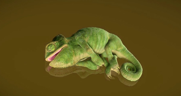 AEAF chameleon3