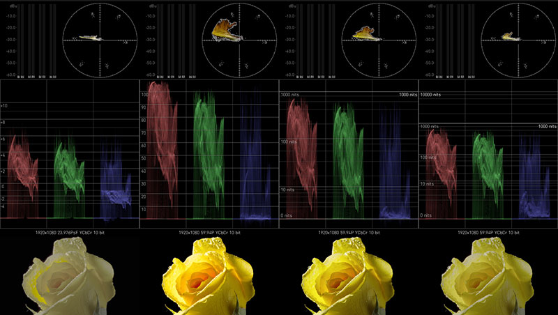 AJA 12g v3 multi channel signal analysis