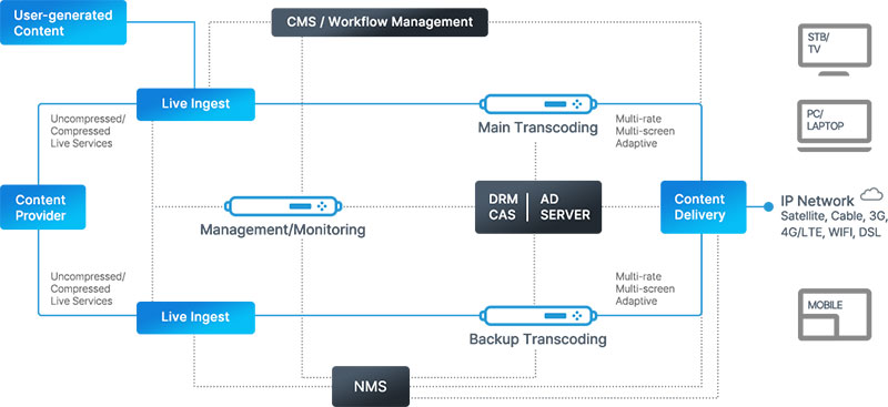 Media excel live workflow