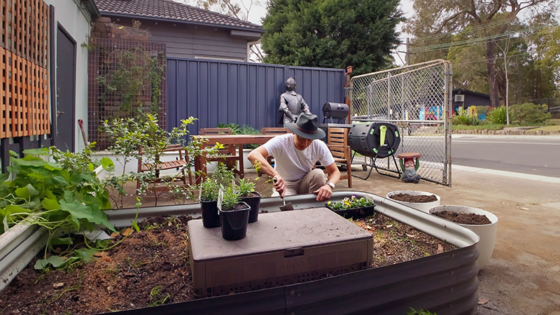 Immersive Growing Native Ingredients