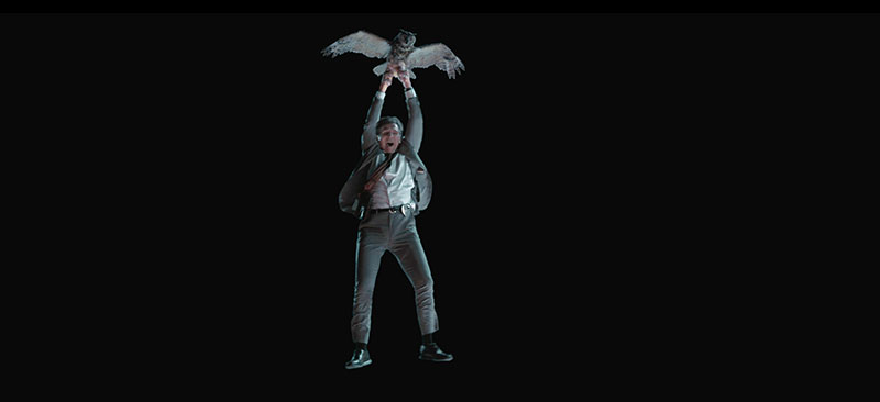 PFX naked gun OwlShot4