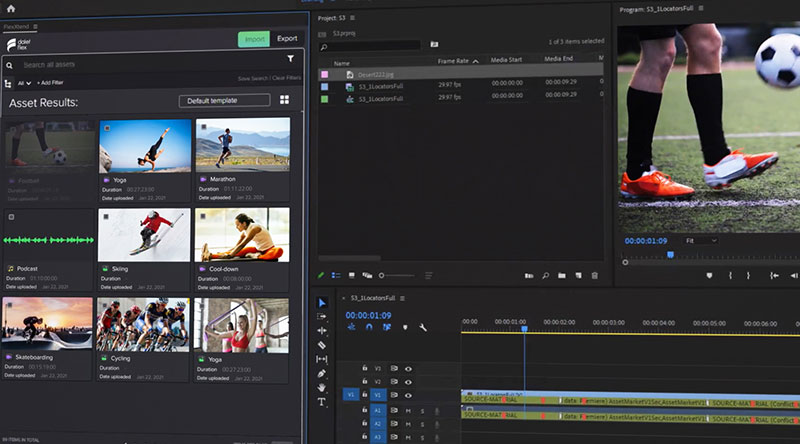 Dalet flex lts manage