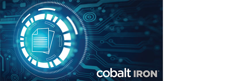Cobalt Iron NAS Protector