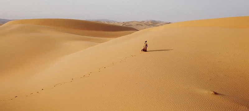 FilmLight fraser dune