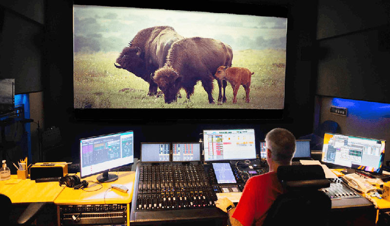 Avid protools buffalo