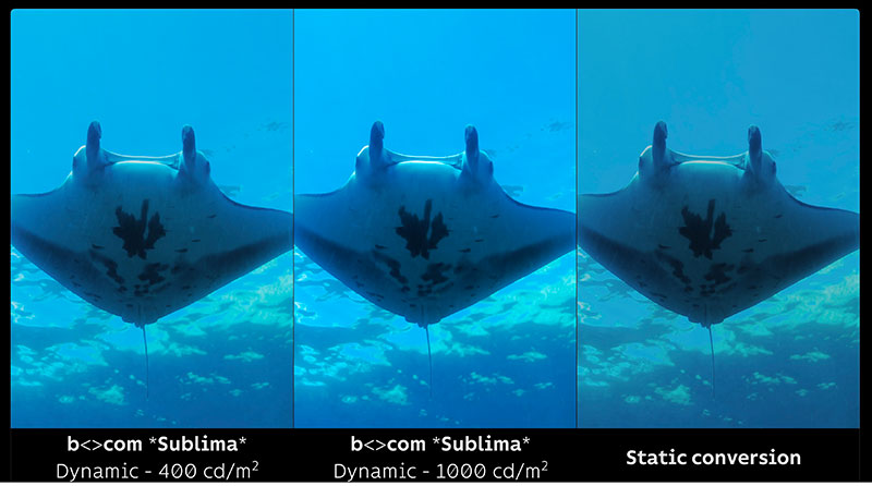 b com Sublima static vs dynamic