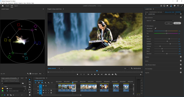 Adobe Premiere Pro Auto Tone Beta