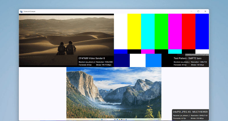 intoPIX overlay Viewer