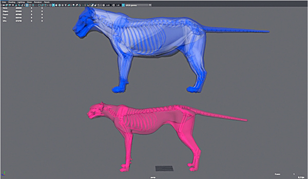 Ziva VFX 1 6 anatomy transfer