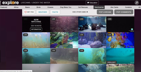 AWS Explore underwater cams