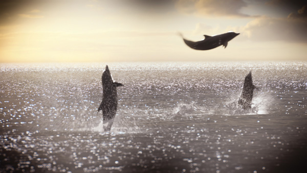 Spin-vfx-dolphin-tale18