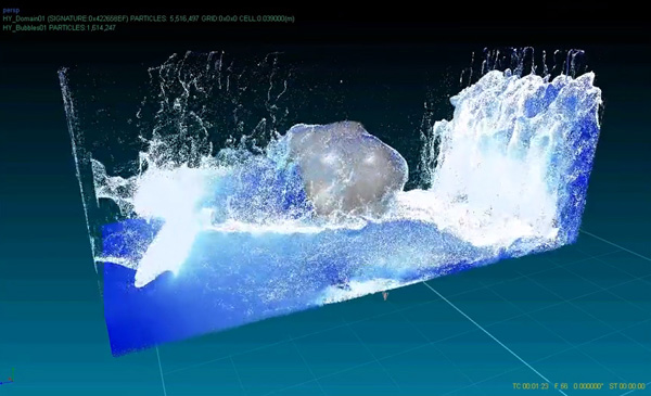 realflow water