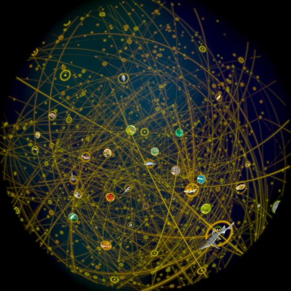 Planetarium-foodWebFulldome