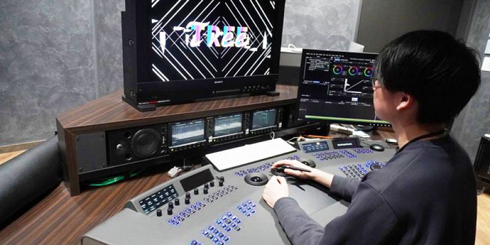 Filmight Baselight m TREE3