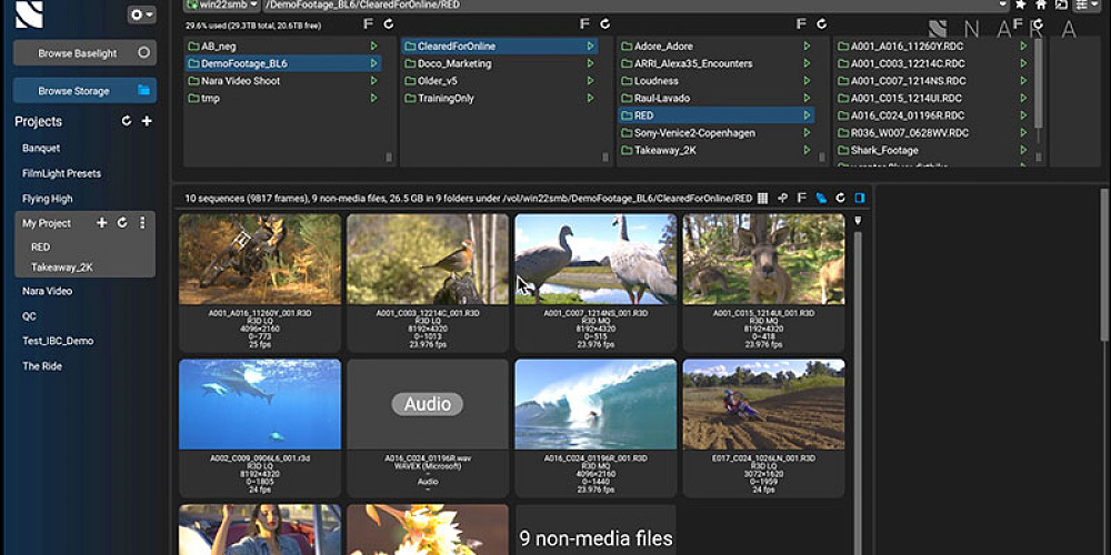 FilmLight nara molinaire2