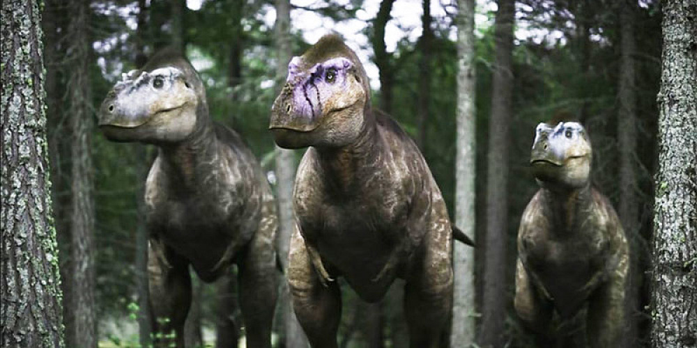 Lola Walking Dinosaurs2