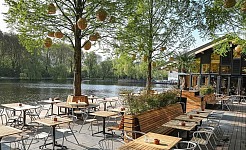 AIMS VSF IP water