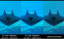 b com Sublima static vs dynamic