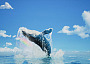 UnrealEngine5 telescope whale singer