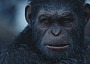 WetaM War for the Planet of the Apes
